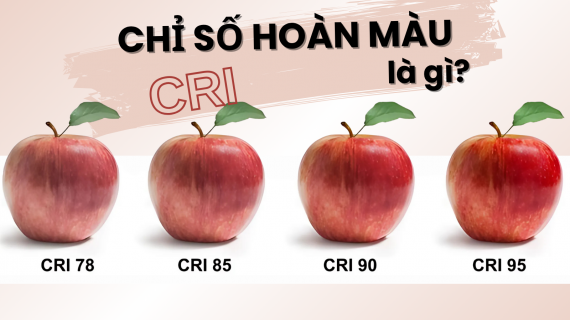 CRI Là Gì? Cách Chọn Đèn Có Độ Hoàn Màu Chuẩn Nhất Cho Không Gian Của Bạn