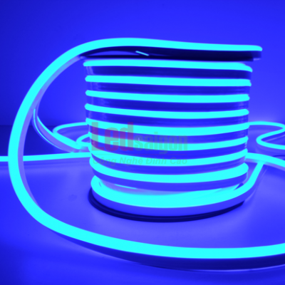 Led dây Neon Sign 100M 12V Xanh dương