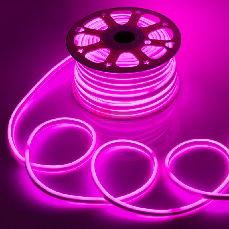 Led Dây Neon Sign 50M 12V Hồng
