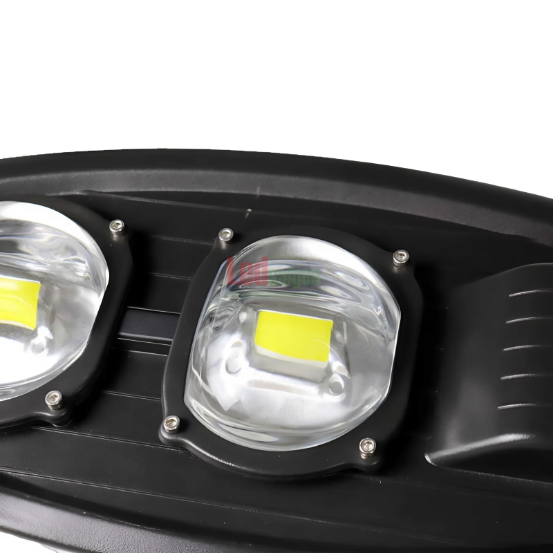 Đèn Đường Chiếc Lá 250W