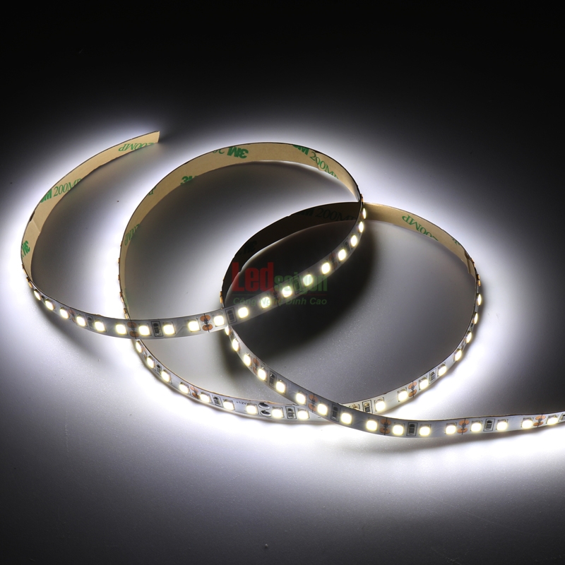 Led Dây Dán 5M 2835 8MM