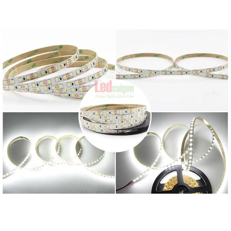 Led Dây Dán 5M 2835 8MM
