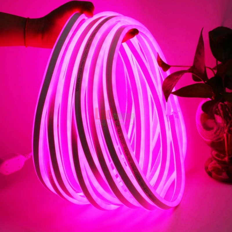 Led Dây Neon Sign 50M 12V Hồng